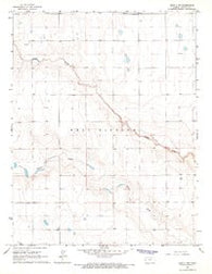 Leoti 3 NW Kansas Historical topographic map, 1:24000 scale, 7.5 X 7.5 Minute, Year 1965