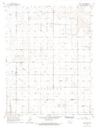 Leoti 3 SW Kansas Historical topographic map, 1:24000 scale, 7.5 X 7.5 Minute, Year 1966