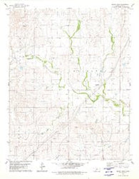 Mount Jesus Kansas Historical topographic map, 1:24000 scale, 7.5 X 7.5 Minute, Year 1979