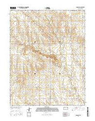 Ransom SE Kansas Current topographic map, 1:24000 scale, 7.5 X 7.5 Minute, Year 2015
