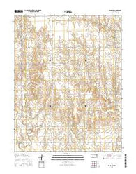 Ransom SW Kansas Current topographic map, 1:24000 scale, 7.5 X 7.5 Minute, Year 2015