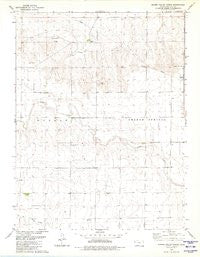 Spring Valley Ranch Kansas Historical topographic map, 1:24000 scale, 7.5 X 7.5 Minute, Year 1979