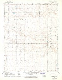Tribune 4 NE Kansas Historical topographic map, 1:24000 scale, 7.5 X 7.5 Minute, Year 1966