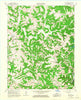 Bee Spring Kentucky Historical topographic map, 1:24000 scale, 7.5 X 7.5 Minute, Year 1966