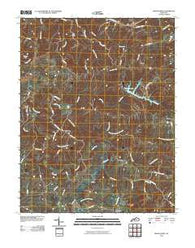 Brush Grove Kentucky Historical topographic map, 1:24000 scale, 7.5 X 7.5 Minute, Year 2010