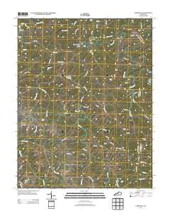 Cardwell Kentucky Historical topographic map, 1:24000 scale, 7.5 X 7.5 Minute, Year 2013