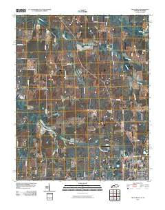 Crutchfield Kentucky Historical topographic map, 1:24000 scale, 7.5 X 7.5 Minute, Year 2010