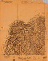 Goloonda Illinois Historical topographic map, 1:48000 scale, 15 X 15 Minute, Year 1920