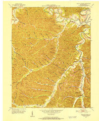 Head Of Grassy Kentucky Historical topographic map, 1:24000 scale, 7.5 X 7.5 Minute, Year 1950