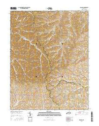 Leesburg Kentucky Current topographic map, 1:24000 scale, 7.5 X 7.5 Minute, Year 2016
