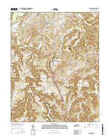 Lewisburg Kentucky Current topographic map, 1:24000 scale, 7.5 X 7.5 Minute, Year 2016