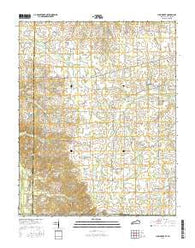 Lynn Grove Kentucky Current topographic map, 1:24000 scale, 7.5 X 7.5 Minute, Year 2016