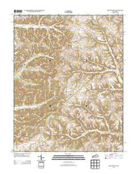 Mintonville Kentucky Historical topographic map, 1:24000 scale, 7.5 X 7.5 Minute, Year 2013