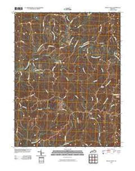 Mount Olivet Kentucky Historical topographic map, 1:24000 scale, 7.5 X 7.5 Minute, Year 2010