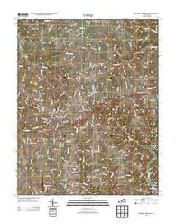 Russell Springs Kentucky Historical topographic map, 1:24000 scale, 7.5 X 7.5 Minute, Year 2013