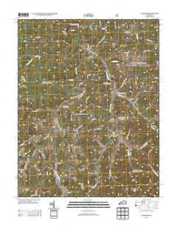 Sturgeon Kentucky Historical topographic map, 1:24000 scale, 7.5 X 7.5 Minute, Year 2013