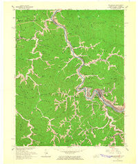 Williamson West Virginia Historical topographic map, 1:24000 scale, 7.5 X 7.5 Minute, Year 1964