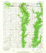 Basile Louisiana Historical topographic map, 1:62500 scale, 15 X 15 Minute, Year 1960
