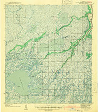 Bayou Du Large Louisiana Historical topographic map, 1:62500 scale, 15 X 15 Minute, Year 1941
