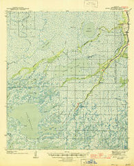 Bayou Du Large Louisiana Historical topographic map, 1:62500 scale, 15 X 15 Minute, Year 1944