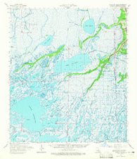 Bayou Du Large Louisiana Historical topographic map, 1:62500 scale, 15 X 15 Minute, Year 1964