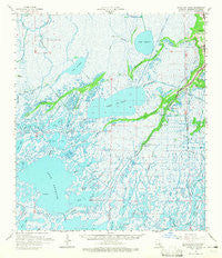 Bayou Du Large Louisiana Historical topographic map, 1:62500 scale, 15 X 15 Minute, Year 1964