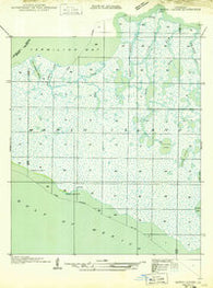 Bayou Lucien Louisiana Historical topographic map, 1:31680 scale, 7.5 X 7.5 Minute, Year 1949