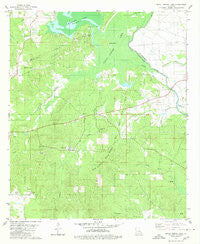 Bayou Pierre Lake Louisiana Historical topographic map, 1:24000 scale, 7.5 X 7.5 Minute, Year 1980