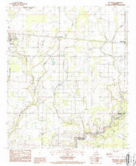 Bee Bayou Louisiana Historical topographic map, 1:24000 scale, 7.5 X 7.5 Minute, Year 1987
