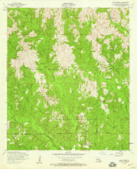 Birds Creek Louisiana Historical topographic map, 1:24000 scale, 7.5 X 7.5 Minute, Year 1954