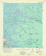 Black Bay Louisiana Historical topographic map, 1:62500 scale, 15 X 15 Minute, Year 1964