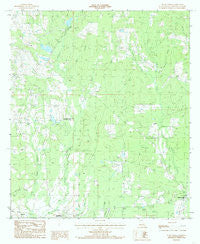 Bluff Creek Louisiana Historical topographic map, 1:24000 scale, 7.5 X 7.5 Minute, Year 1984