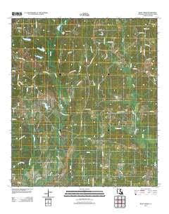 Bluff Creek Louisiana Historical topographic map, 1:24000 scale, 7.5 X 7.5 Minute, Year 2012