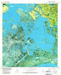 Browns Lake Louisiana Historical topographic map, 1:24000 scale, 7.5 X 7.5 Minute, Year 1982