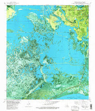 Browns Lake Louisiana Historical topographic map, 1:24000 scale, 7.5 X 7.5 Minute, Year 1982