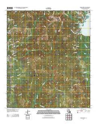 Burr Ferry Louisiana Historical topographic map, 1:24000 scale, 7.5 X 7.5 Minute, Year 2012