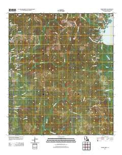 Burr Ferry Louisiana Historical topographic map, 1:24000 scale, 7.5 X 7.5 Minute, Year 2012
