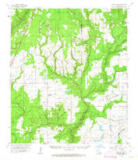 Castor Creek Louisiana Historical topographic map, 1:62500 scale, 15 X 15 Minute, Year 1961