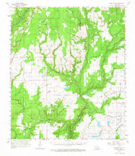 Castor Creek Louisiana Historical topographic map, 1:62500 scale, 15 X 15 Minute, Year 1961