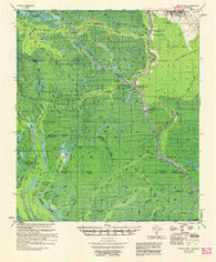 Chicot Lake Louisiana Historical topographic map, 1:62500 scale, 15 X 15 Minute, Year 1955