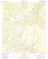 Cocodrie Lake Louisiana Historical topographic map, 1:24000 scale, 7.5 X 7.5 Minute, Year 1967