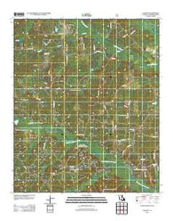 Colquitt Louisiana Historical topographic map, 1:24000 scale, 7.5 X 7.5 Minute, Year 2012