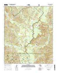 Danville Louisiana Current topographic map, 1:24000 scale, 7.5 X 7.5 Minute, Year 2015