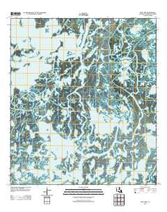 Dog Lake Louisiana Historical topographic map, 1:24000 scale, 7.5 X 7.5 Minute, Year 2012