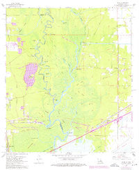 Echo Texas Historical topographic map, 1:24000 scale, 7.5 X 7.5 Minute, Year 1960