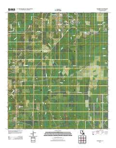 Elizabeth Louisiana Historical topographic map, 1:24000 scale, 7.5 X 7.5 Minute, Year 2012