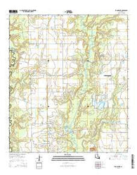 Evangeline Louisiana Current topographic map, 1:24000 scale, 7.5 X 7.5 Minute, Year 2015