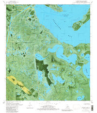 Fearman Lake Louisiana Historical topographic map, 1:24000 scale, 7.5 X 7.5 Minute, Year 1979