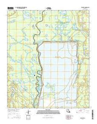 Fish Lake Louisiana Current topographic map, 1:24000 scale, 7.5 X 7.5 Minute, Year 2015
