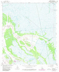 Gheens Louisiana Historical topographic map, 1:24000 scale, 7.5 X 7.5 Minute, Year 1963